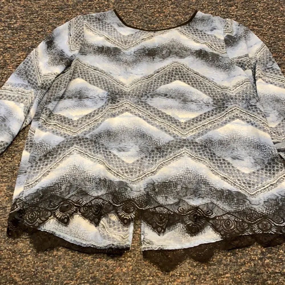 Sheer Blouse sz. 2X